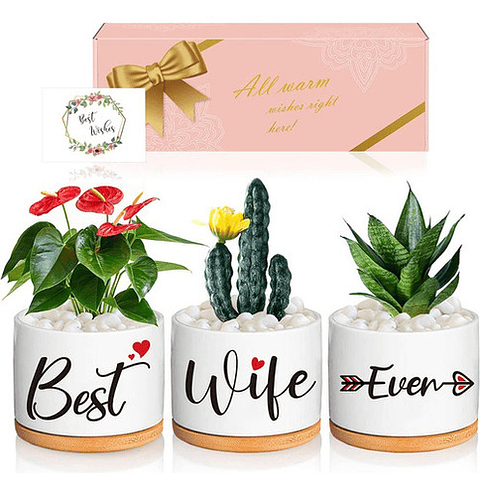 Juego Macetas Cerámica Cactus Suculentas X3unid 9cm Diametro