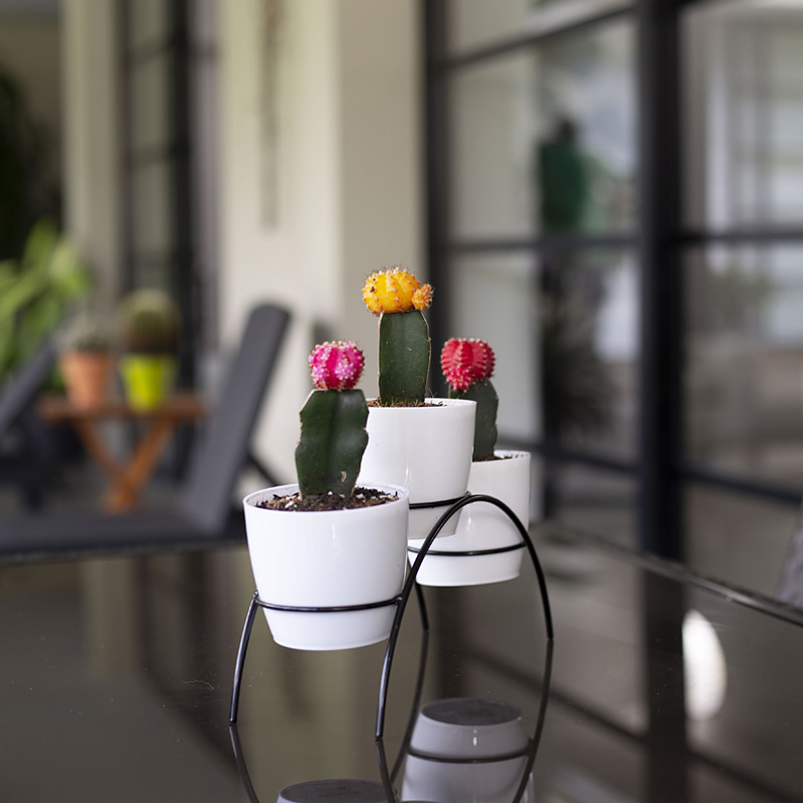 Soporte Matera Decorativo x3 Puestos Mesa 9cm Diámetro 5