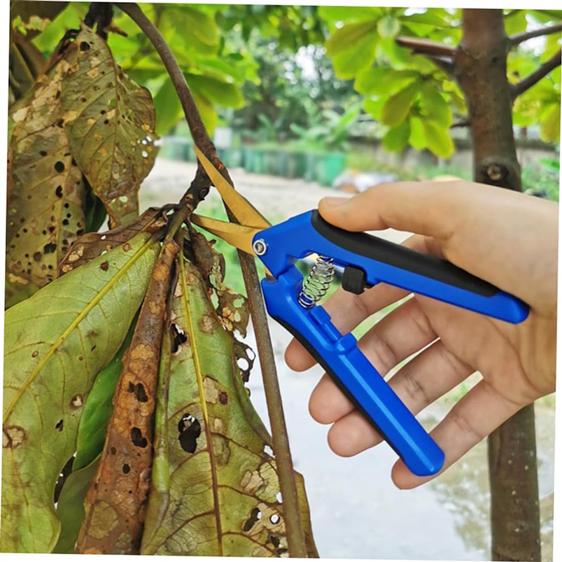 Tijeras En Titanio Punta Recta Para Poda-despunte De Plantas 10