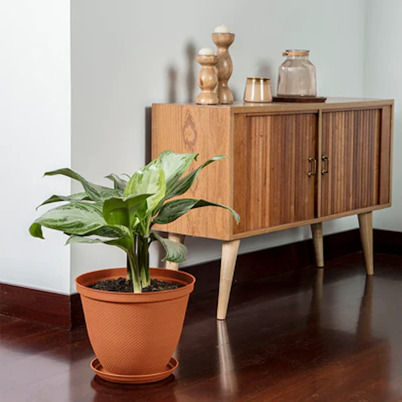 Maceta Plástica De Plantas más Plato 35cm Diámetro x27cm Alto 5