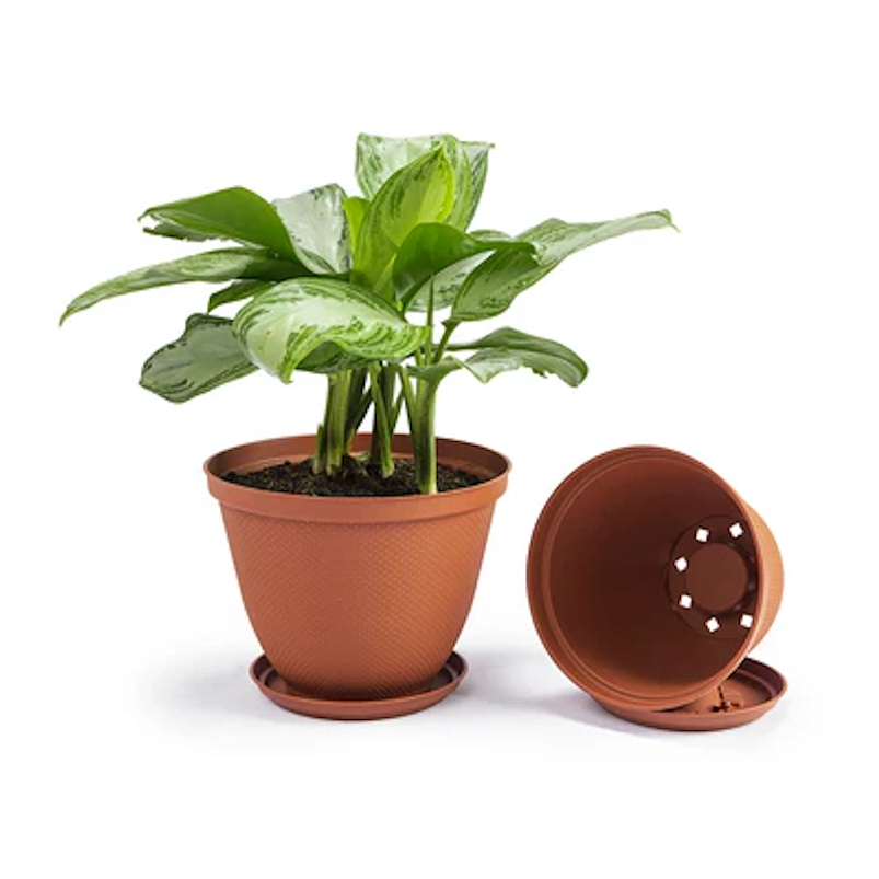 Maceta Plástica De Plantas más Plato 35cm Diámetro x27cm Alto 6