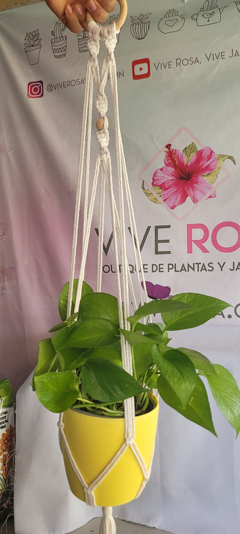 Macramé Colgante Surtido