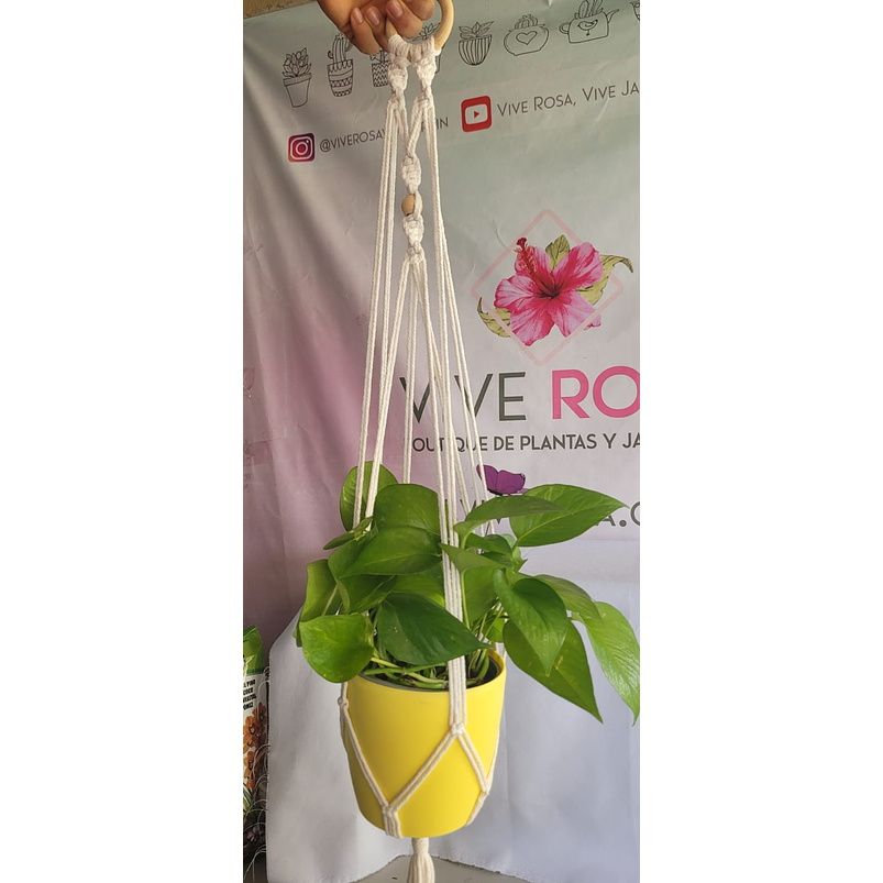 Macramé Colgante Surtido 1