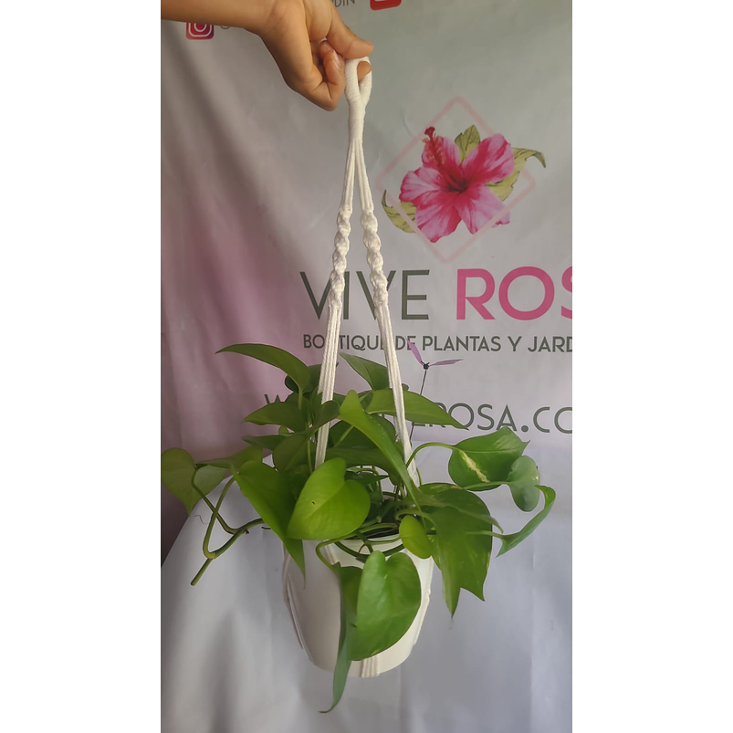 Macramé Colgante Surtido 3