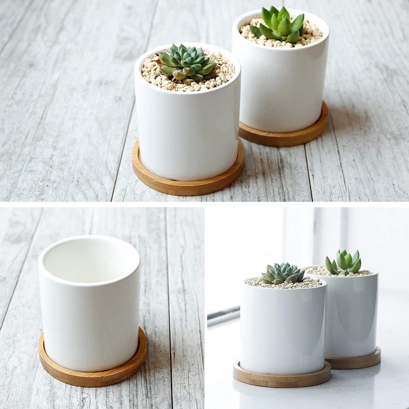 Maceta Cerámica Para Planta 6cm Diámetro x6cm Alto más plato Bambú 2