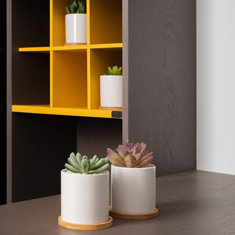 Maceta Cerámica Para Planta 6cm Diámetro x6cm Alto más plato Bambú 3