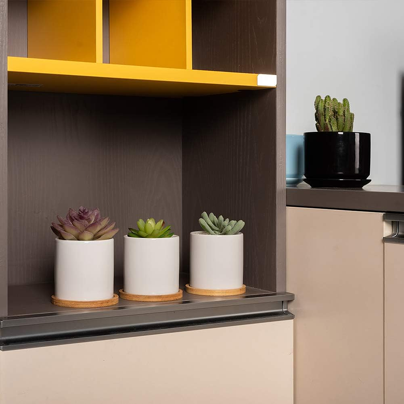 Maceta Cerámica Para Planta 6cm Diámetro x6cm Alto más plato Bambú 4