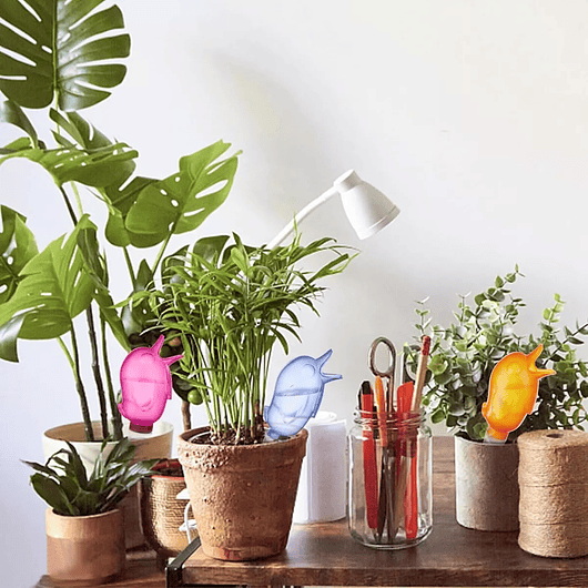 Estacas en Arcilla De Riego Autonomo Para Plantas x8 Unidades 5