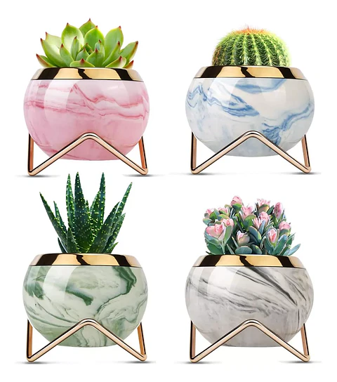 Juego Macetas x4 Unidades Decorativa Suculentas Cactus de Mesa