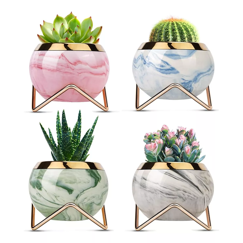 Juego Macetas x4 Unidades Decorativa Suculentas Cactus de Mesa 1