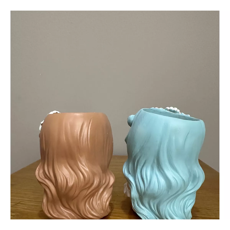 Macetas Decorativa Cerámica Plantas Suculenta Cactus x2 Unidades 10