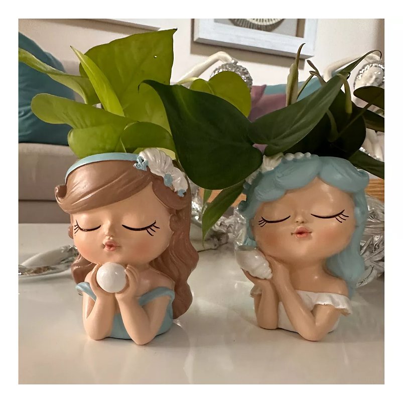 Macetas Decorativa Cerámica Plantas Suculenta Cactus x2 Unidades 9