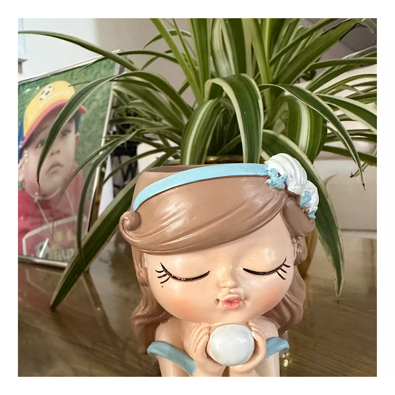 Macetas Decorativa Cerámica Plantas Suculenta Cactus x2 Unidades 5