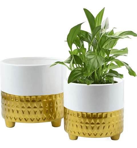 Macetas Cerámica x1 Unidades Premium Pequeña