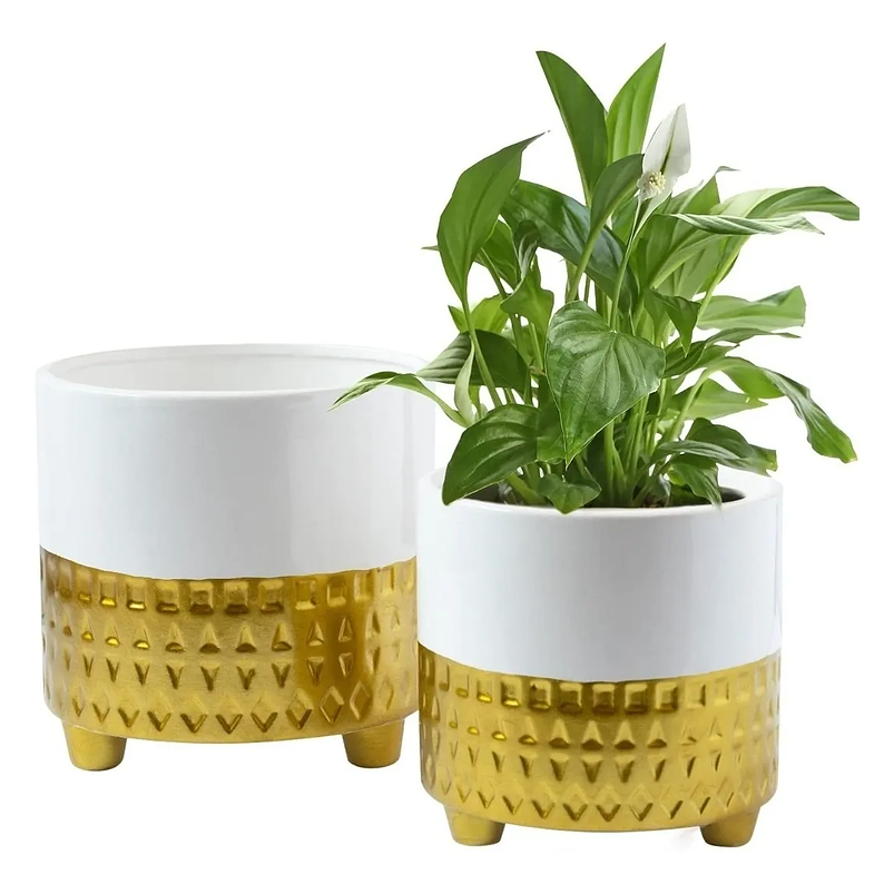 Macetas Cerámica x1 Unidades Premium Pequeña 1