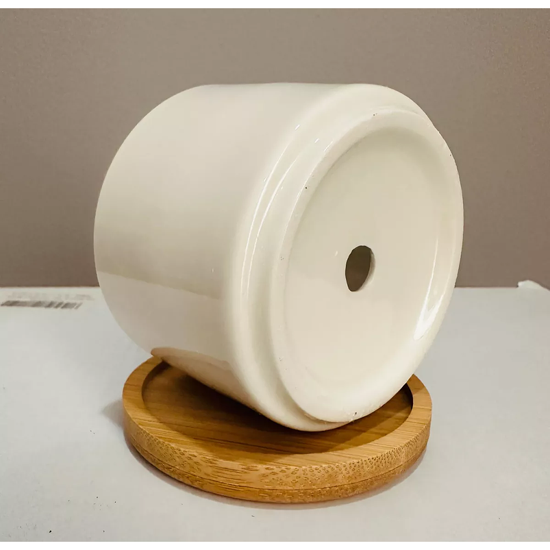 Juego Maceta Cerámica Premium Plantas Cactus y Suculentas 8