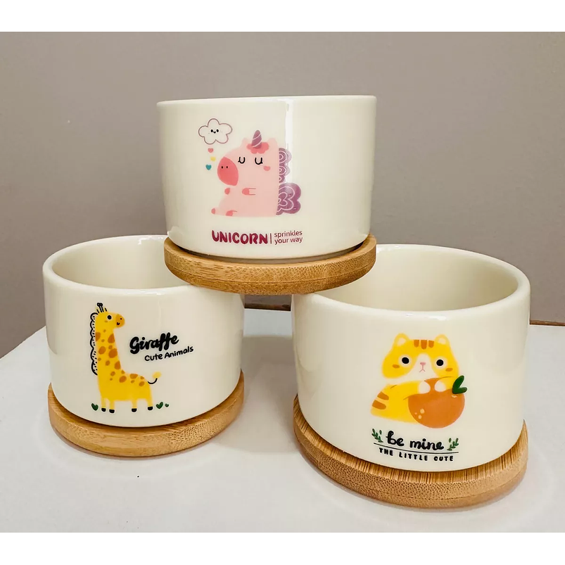 Juego Maceta Cerámica Premium Plantas Cactus y Suculentas 7