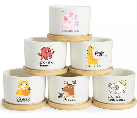 Juego Maceta Cerámica Premium Plantas Cactus y Suculentas