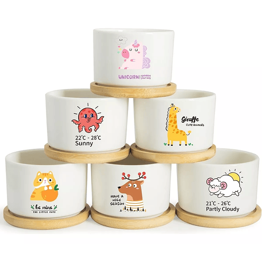 Juego Maceta Cerámica Premium Plantas Cactus y Suculentas 2