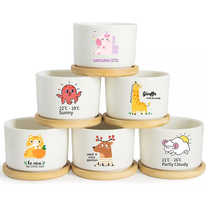 Juego Maceta Cerámica Premium Plantas Cactus y Suculentas 2