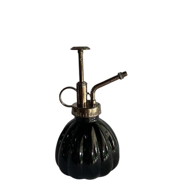 Regadera Spray Vintage En Vidrio 7.8oz Jardin Plantas 2