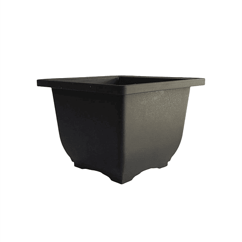Maceta Plástica de Bonsái Cuadrada 13cm Ancho x 10cm Alto
