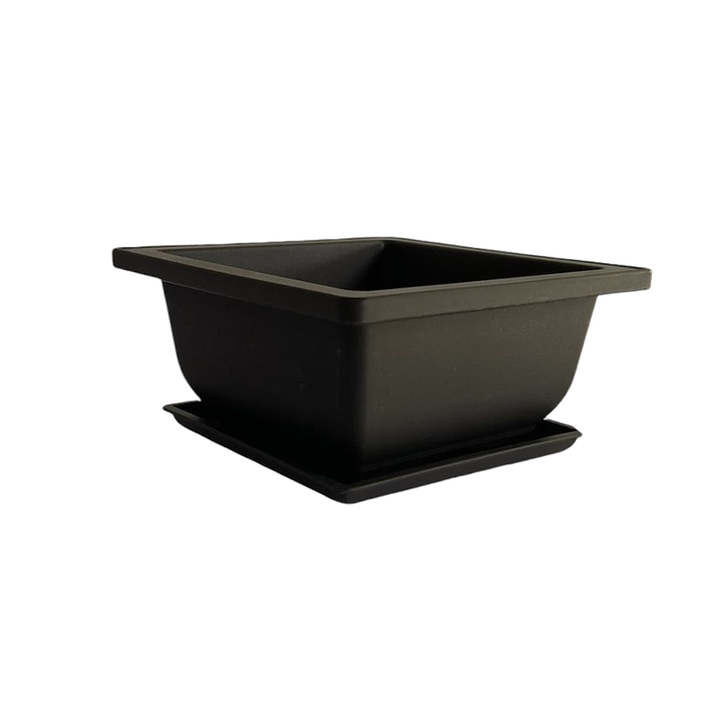 Maceta Plástica Bonsái 12cm Ancho X6cm Alto Cuadrada +plato 1