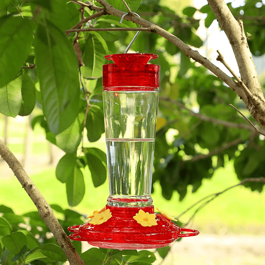 Bebedero Colibríes Aves de Colgar en Vidrio x5 Flores 3