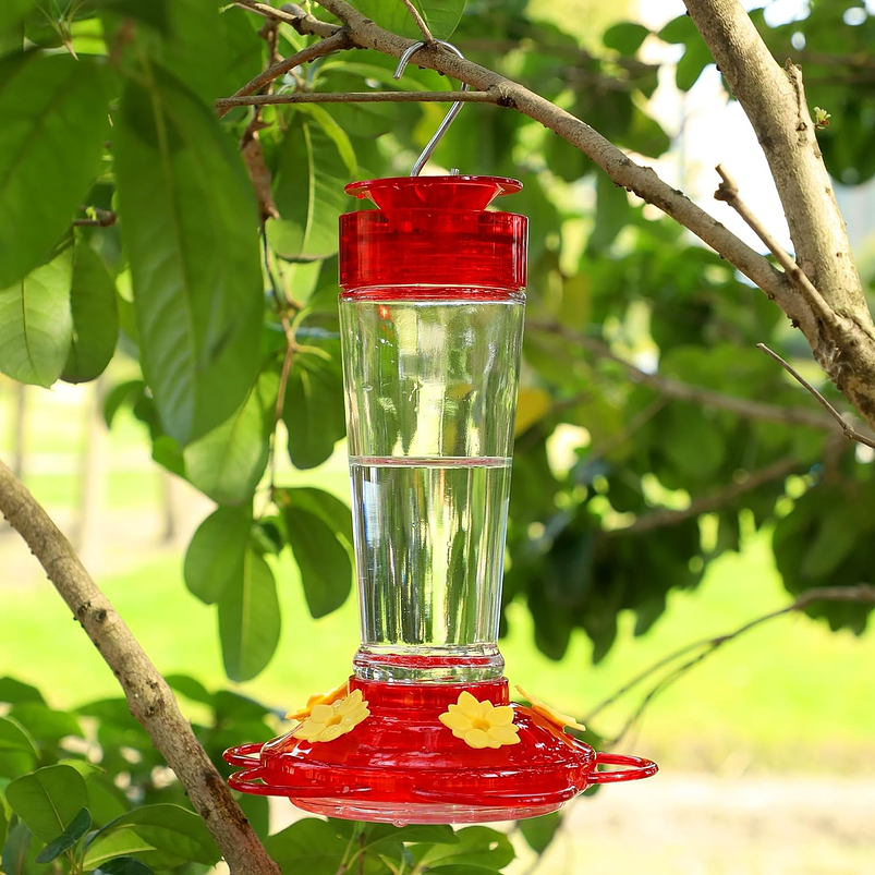 Bebedero Colibríes Aves de Colgar en Vidrio x5 Flores 3