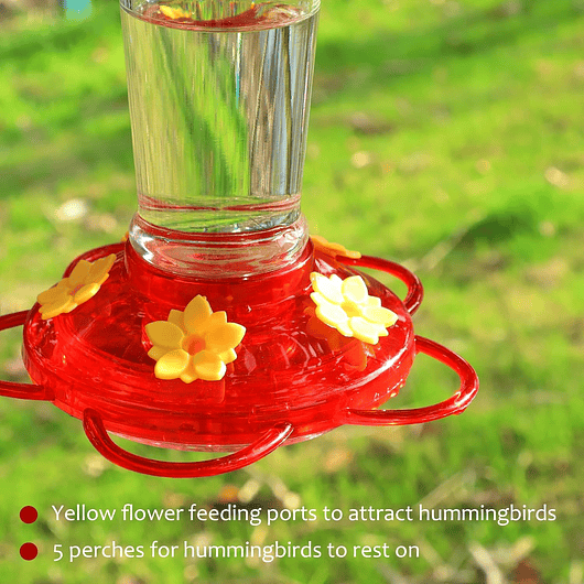 Bebedero Colibríes Aves de Colgar en Vidrio x5 Flores 5