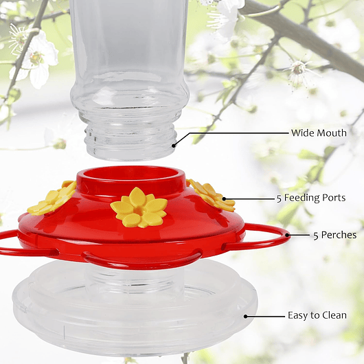 Bebedero Colibríes Aves de Colgar en Vidrio x5 Flores 6