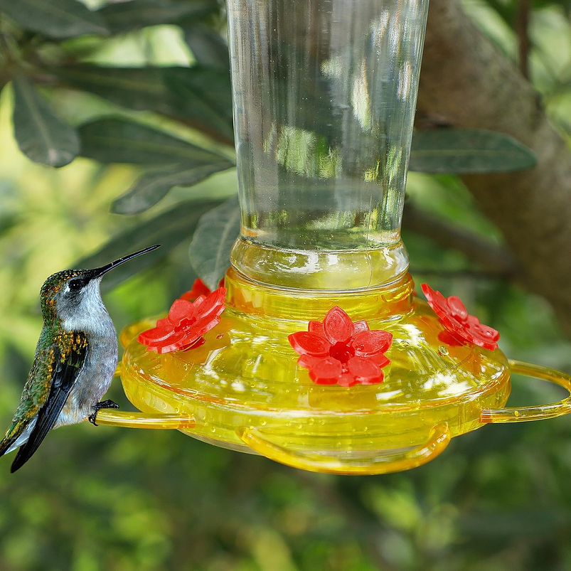 Bebedero Colibríes Aves de Colgar en Vidrio x5 Flores 9