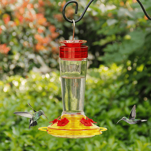 Bebedero Colibríes Aves de Colgar en Vidrio x5 Flores 12