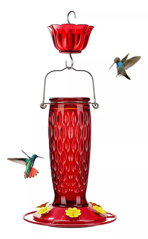 Bebedero Colibríes Aves Colgante En Vidrio X24oz