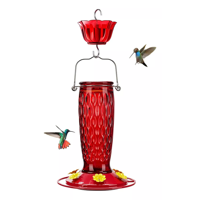 Bebedero Colibríes Aves Colgante En Vidrio X24oz 1