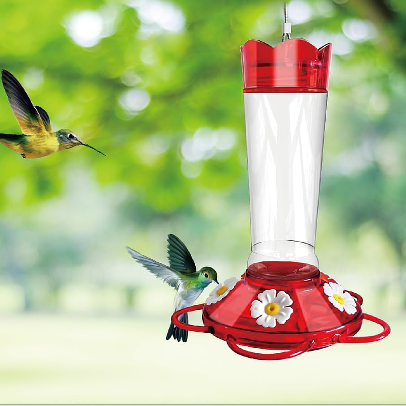 Bebedero Colibríes En Vidrio 5 Puertos De Alimentacion 6