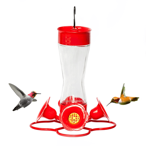 Bebedero Aves Colibríes En Vidrio De Colgar X4 Flores