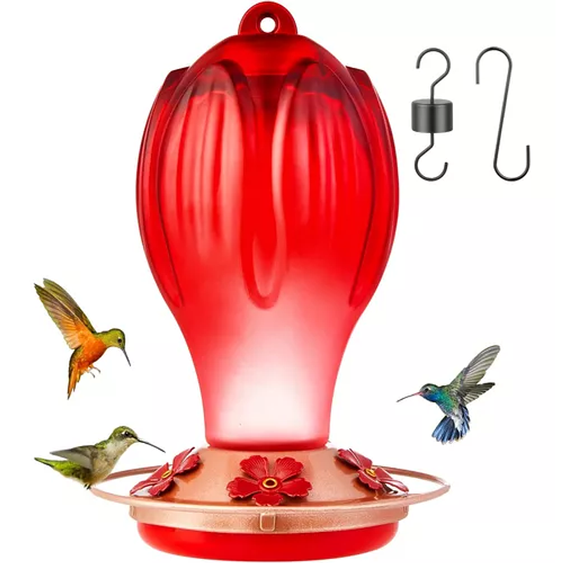 Bebedero Colibríes Aves Colgante Vidrio Soplado A Mano 1