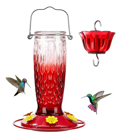 Colibries Bebedero Premium de Aves de Colgar Botella en Vidrio