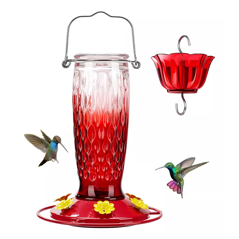 Colibries Bebedero de Aves de Colgar Botella en Vidrio 1