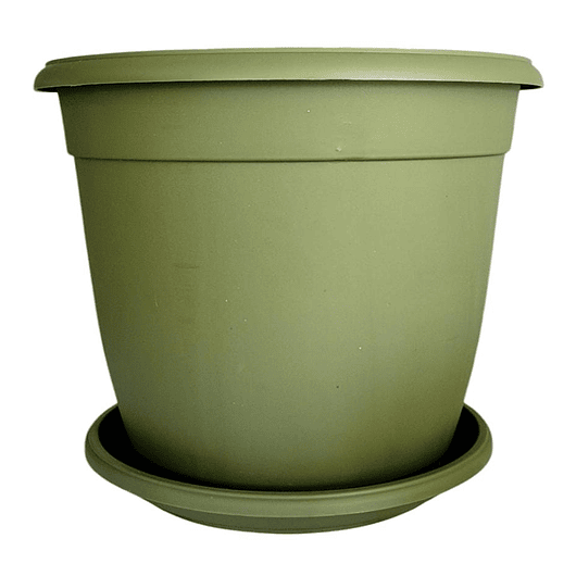 Maceta Plantas Redonda Plástica 21cm Diámetro x19cm Alto Más plato 10