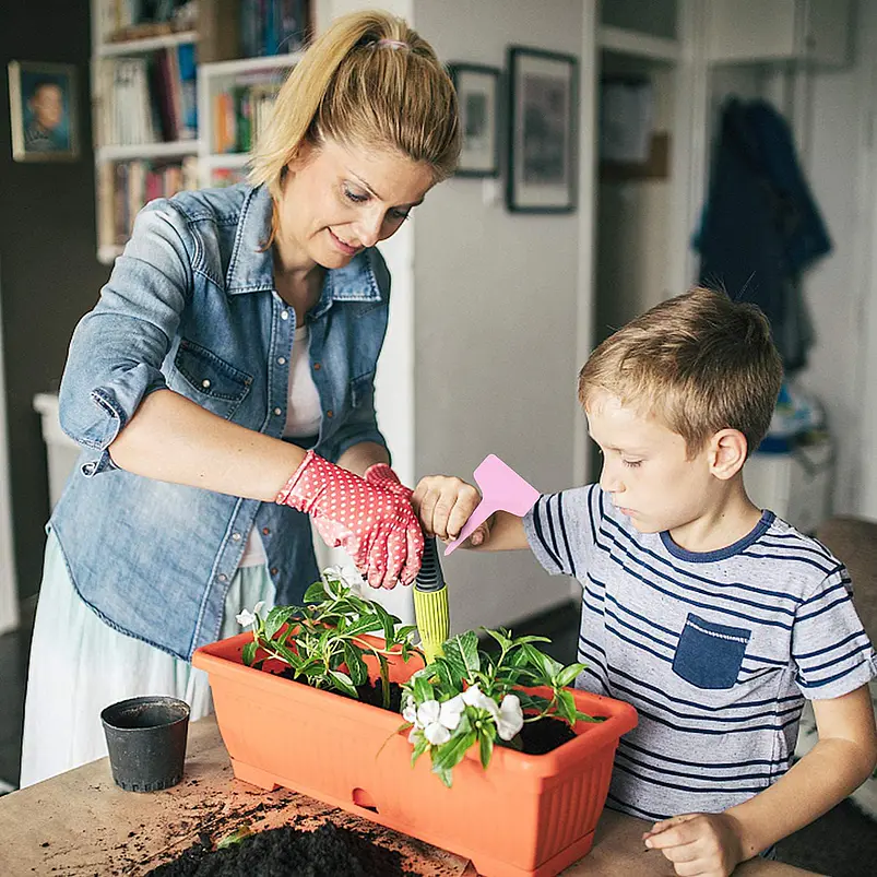 Etiqueta De Plantas Plástica Marcar Siembra X100unid Colores 9