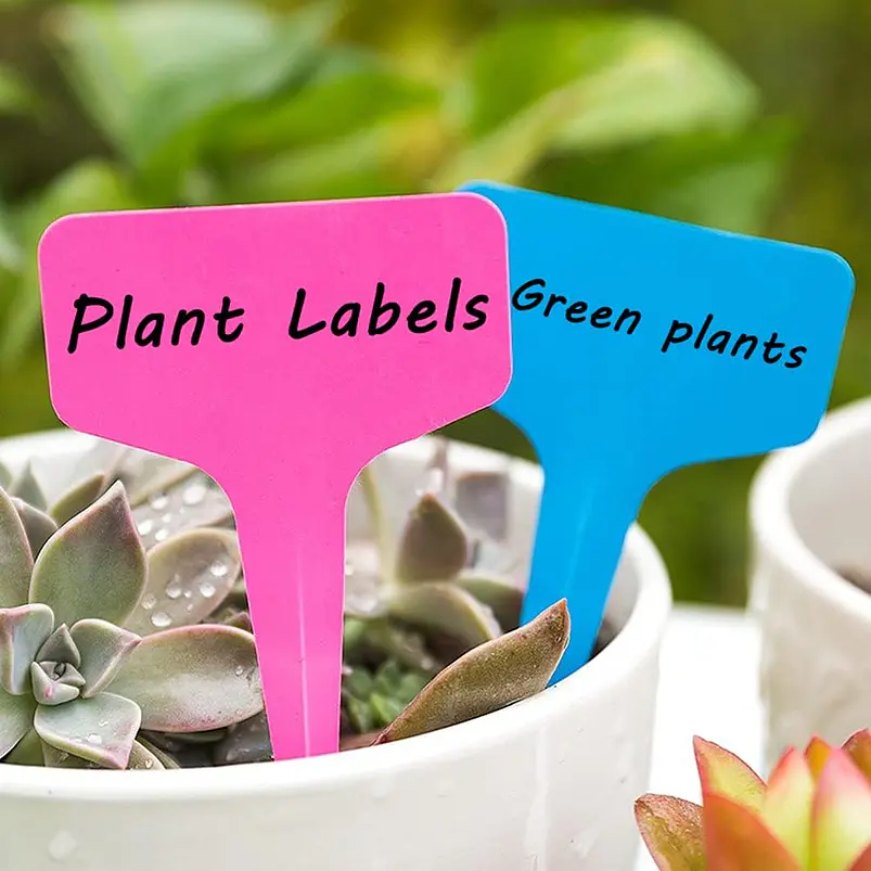 Etiqueta De Plantas Plástica Marcar Siembra X100unid Colores 4
