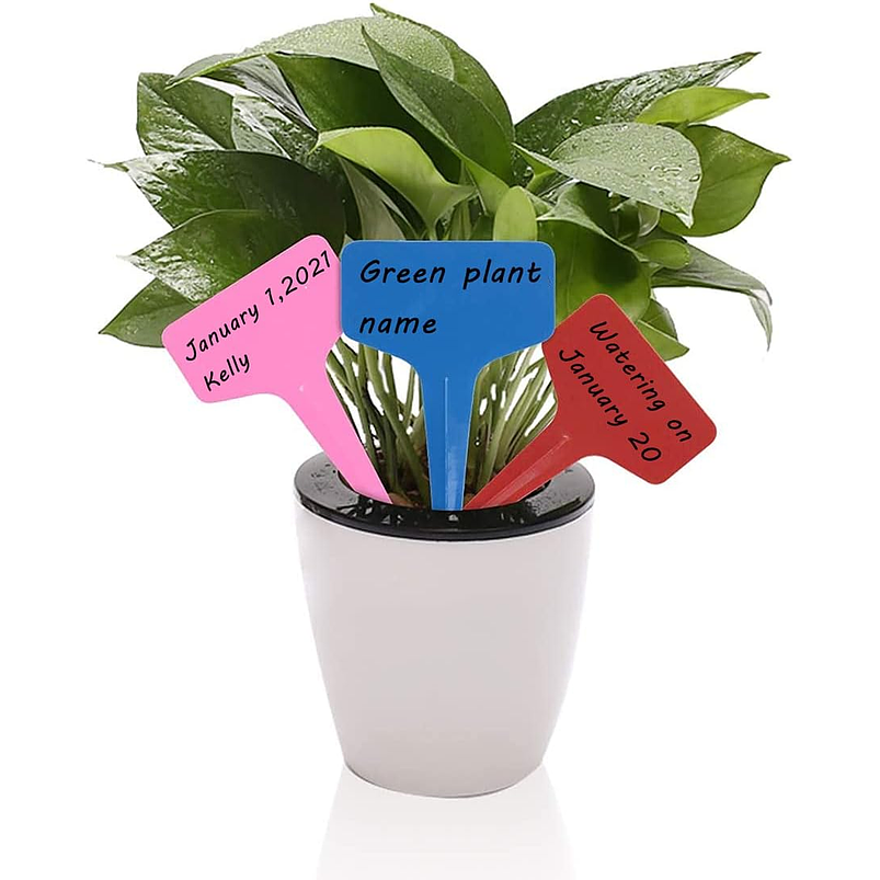 Etiqueta De Plantas Plástica Marcar Siembra x50unid Colores 5