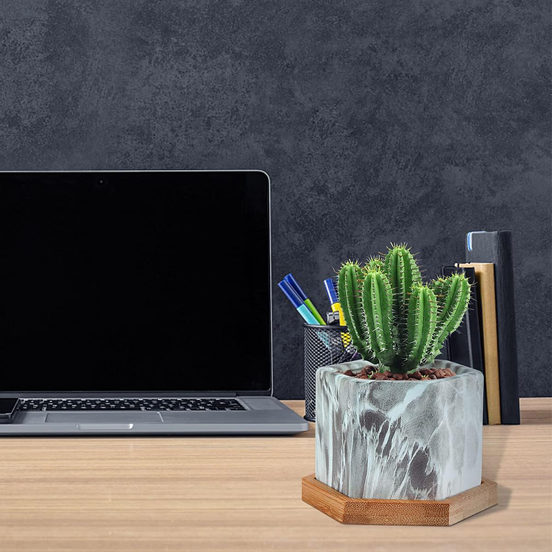 Juego Macetas En Cerámica x4 Unidades Más Plato En Bambú  6