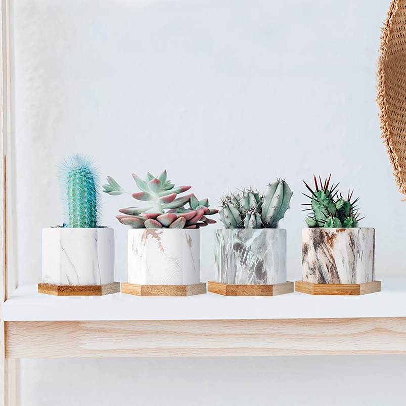 Juego Macetas En Cerámica x4 Unidades Más Plato En Bambú  4