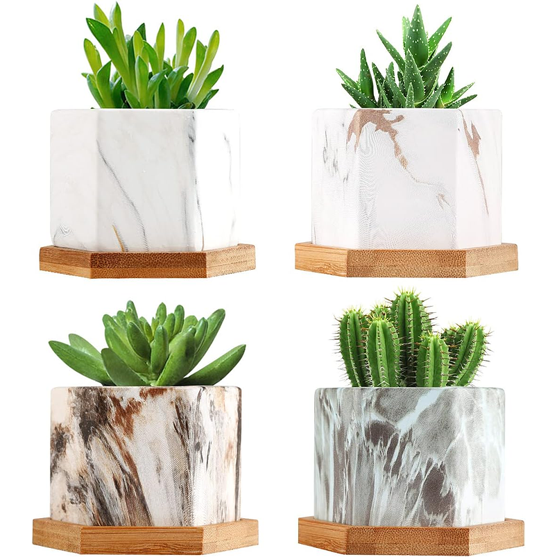 Juego Macetas En Cerámica x4 Unidades Más Plato En Bambú  1