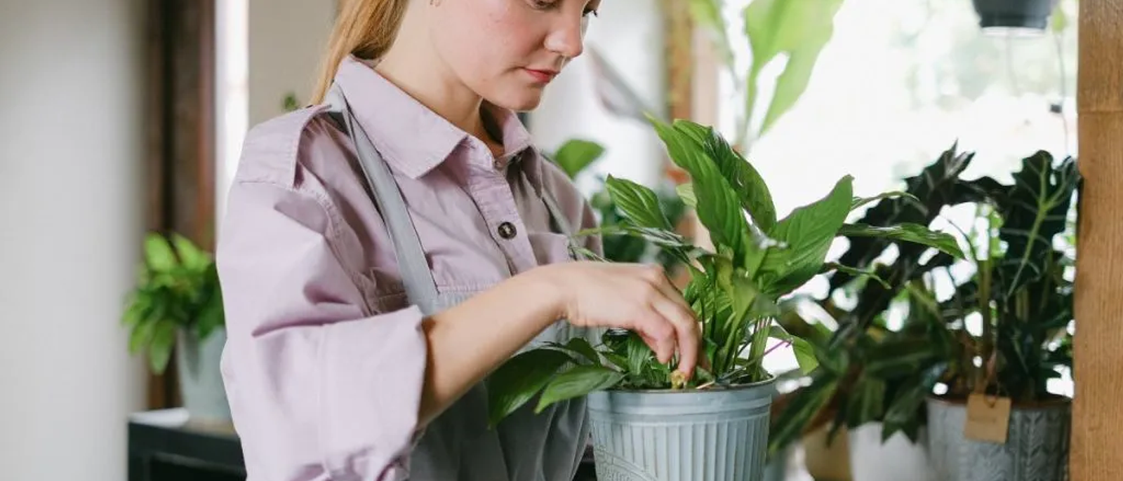 Con amor, para tus Plantas