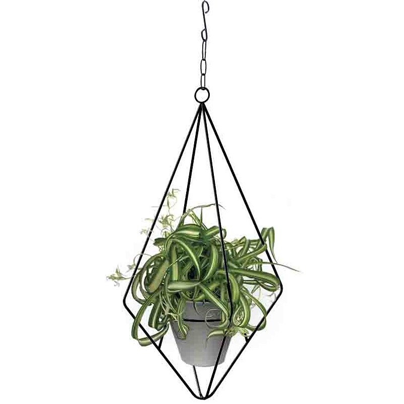 Soporte Matera Maceta Diseño Diamante De Colgar 54.5 centímetros Alto 1