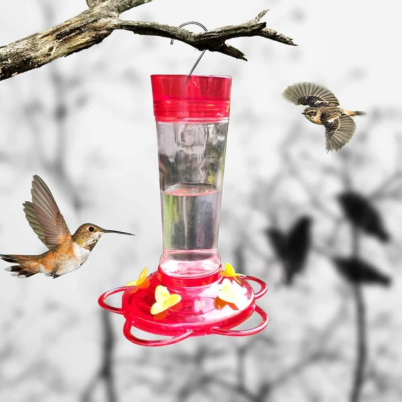 Bebedero Colibríes Aves Colgante En Vidrio y Foso Anti Hormigas x2 unidades 4